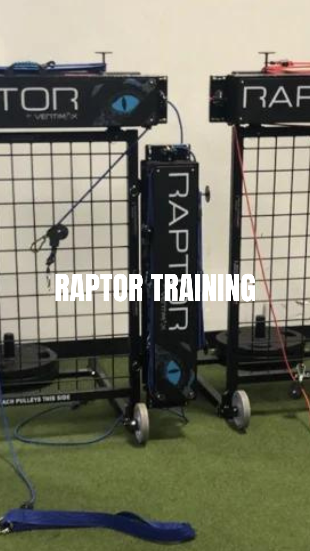 Volley Raptor The Academy - Volleyball Camps - The Academy Of Central Florida